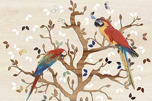 MEDO PARROT HL-2 GL