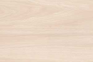 QUERCIA LT GL