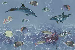 AQUARIA HL2 GDR-P