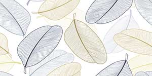 ARECA HL