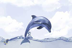CORAL DOLPHIN HL1