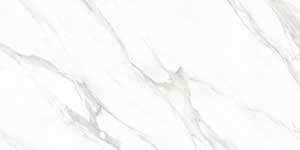 FREESIA LT