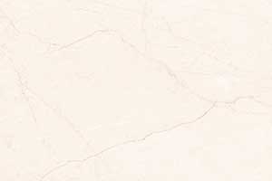KERINS LT GDR-P