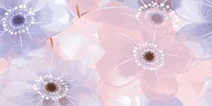 MARISOL ROSE-HL GDR-P