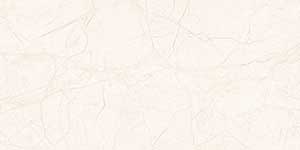 PARTIN LT GDR-P