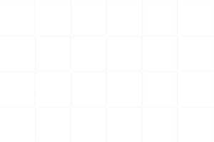 QUADRA WHITE