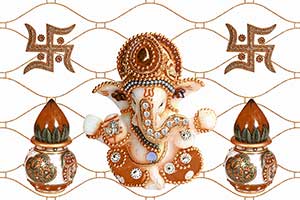 VINAYAK HL1