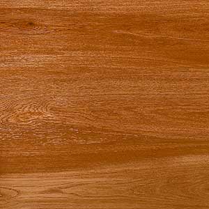 WOODY CF MDR-P