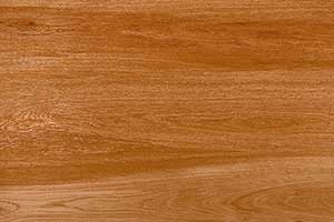 WOODY DK GDR-P