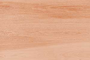 WOODY LT GDR-P