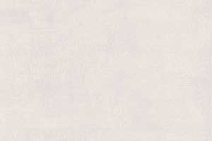 ASH WHITE GL