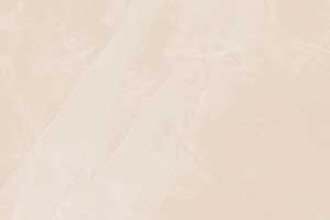 FEATHER CREAM GL