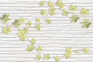 LACKER WHITE DECOR ELV
