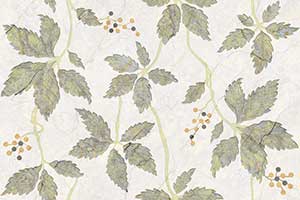 LAVISH LEAF HL GL