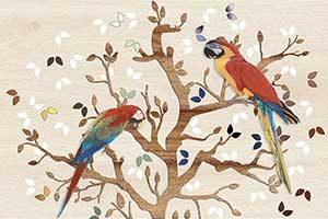 MEDO PARROT HL2 GL