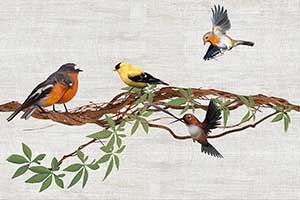 RESTING BIRDS HL1 GL