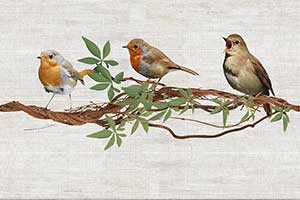 RESTING BIRDS HL2 GL