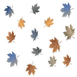 SOLAR AUTUMN