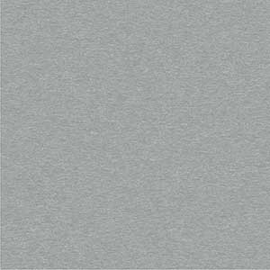 SUBSTANCE SILVER CF MT