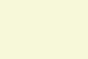 PLAIN IVORY-SPL PRJ