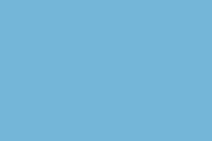 NEW BLUE