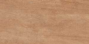 AESTHETIC BROWN VPOL