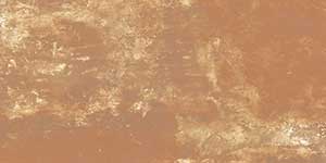 ARID BROWN VPOL