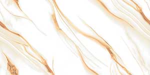 CLOMAX GOLD VPOL