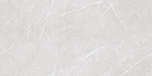 FLAVOUR SILVER VPOL