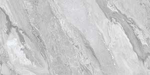 MAJESTY SILVER VPOL