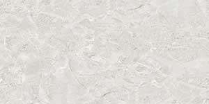 NEXA SILVER POREC