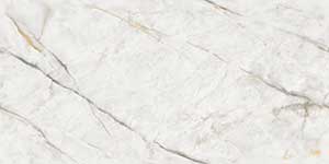 Selva Grey