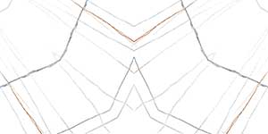 STARLINK WH VPOL