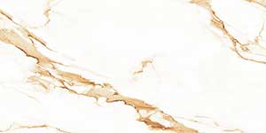 VEIN GOLD VPOL