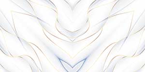 WINGS WH VPOL