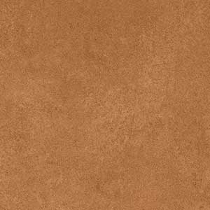 BAYLEAF DK VMT