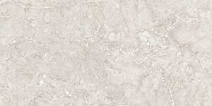 STARK SILVER VPOL