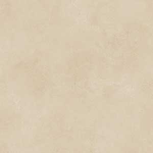 EARTH IVORY MATT REC