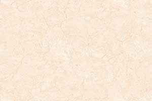 TOLSTOY IVORY VPOL