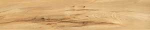 FELOR LATTE WOOD