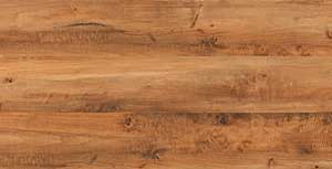 ANGIE TAN WOOD MT