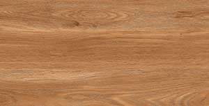 CINDY PALE WOOD MT