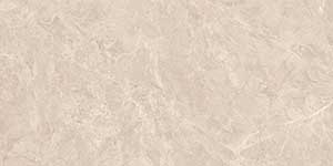 GRAVITY DARK POL