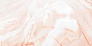 RAIDEN ROSE POL