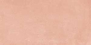 TROY PINK MT