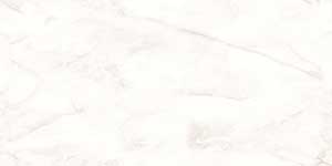 CRUISE CREMA VSLK