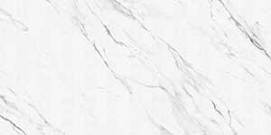 STATUARIO GRIS VSCID
