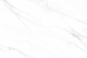 LUCID WHITE VELEG
