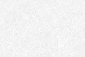 OYSTER WHITE VELEG