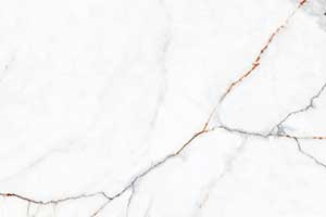 ARIA WHITE VPOL